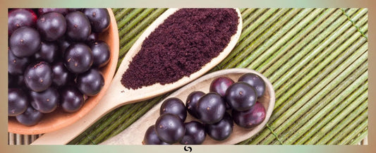 Read about Acai berries - What puts the "super" in this superfood? in the Sacred Supplements Blog | Sacred Remedy the UK Holistic Health & Wellness Store