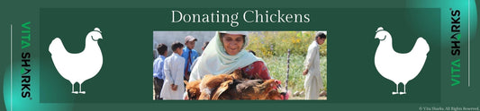 Read about Donating Chickens in the Corporate Social Responsibility | Sacred Remedy the UK Holistic Health & Wellness Store