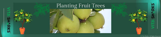 Read about Planting Fruit Trees in the Corporate Social Responsibility | Sacred Remedy the UK Holistic Health & Wellness Store
