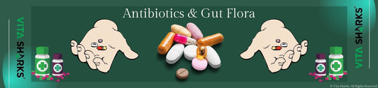 Read about Antibiotics & Gut Flora in the Health & Wellbeing | Sacred Remedy the UK Holistic Health & Wellness Store