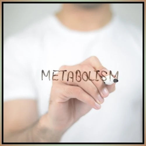Shop the Metabolism (Slow) collection on the Sacred Remedy UK Holistic Health & Wellness Store