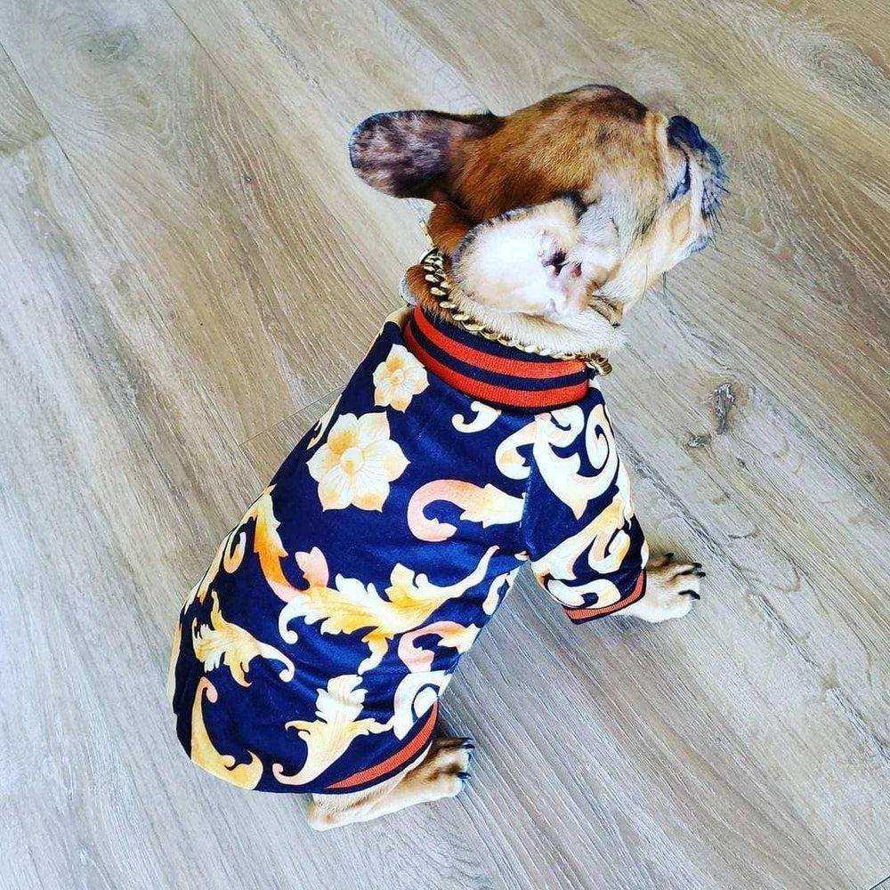 Buy Floral Insulated Dog Jacket 'No one Cares' Slogan Hawaii pattern varsity style - at Sacred Remedy Online