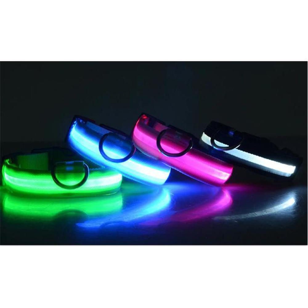 Buy LED Safety Dog Collar | Light up for night and winter walks - at Sacred Remedy Online