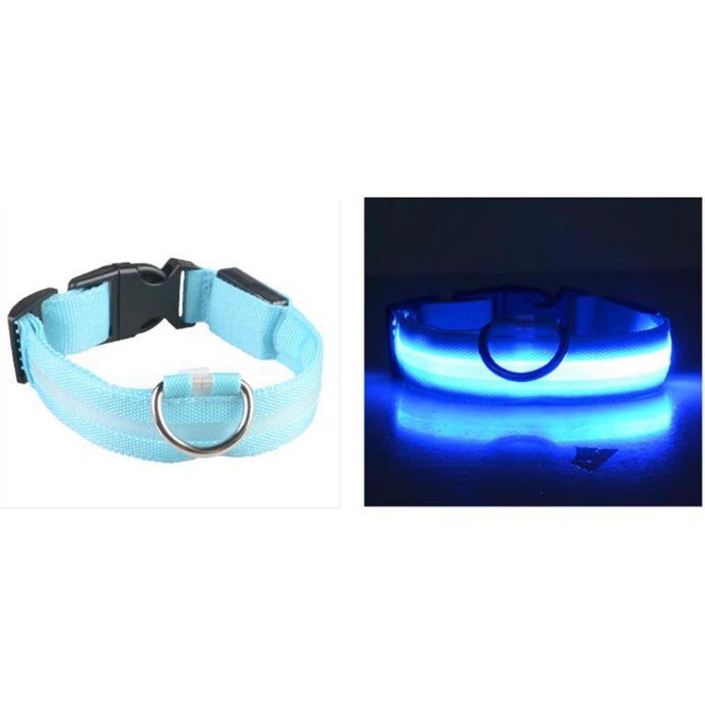 Buy LED Safety Dog Collar | Light up for night and winter walks - at Sacred Remedy Online