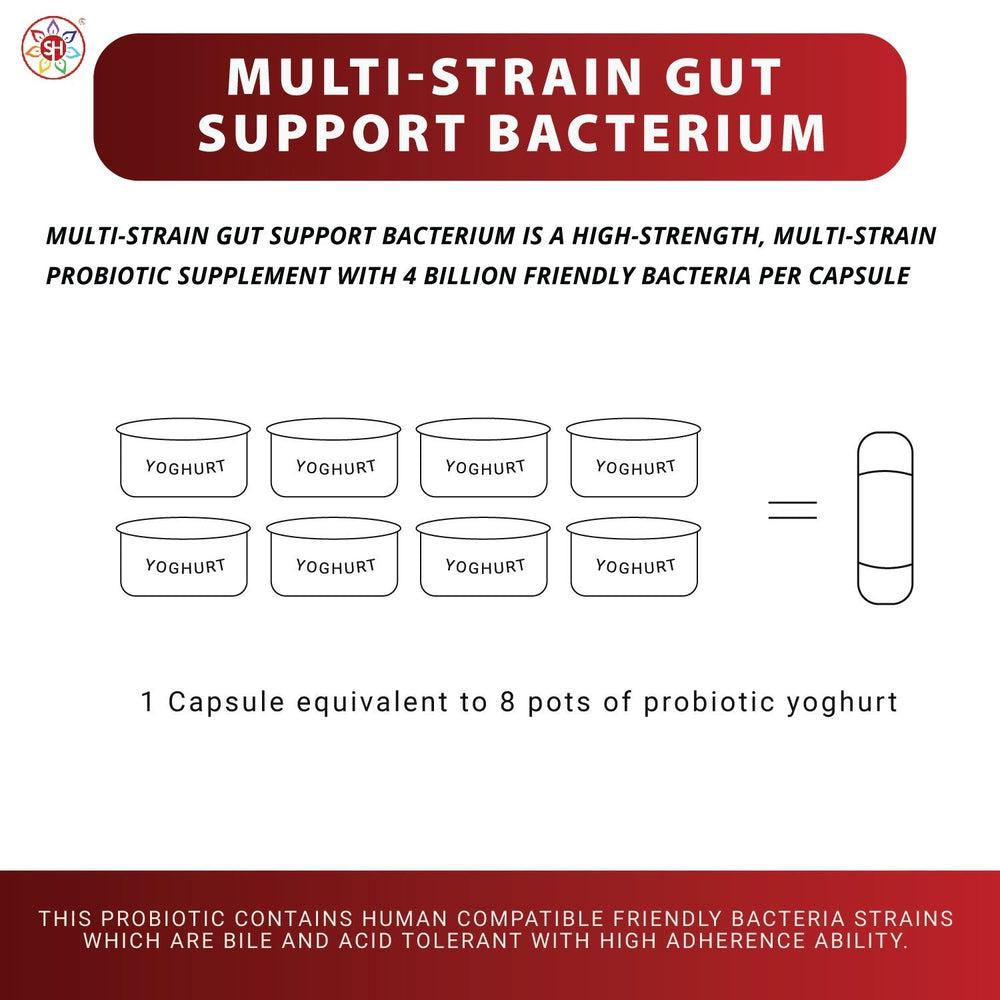 Buy Multi-Strain Gut Support Bacterium by Shakra Health Supplements - at Sacred Remedy Online