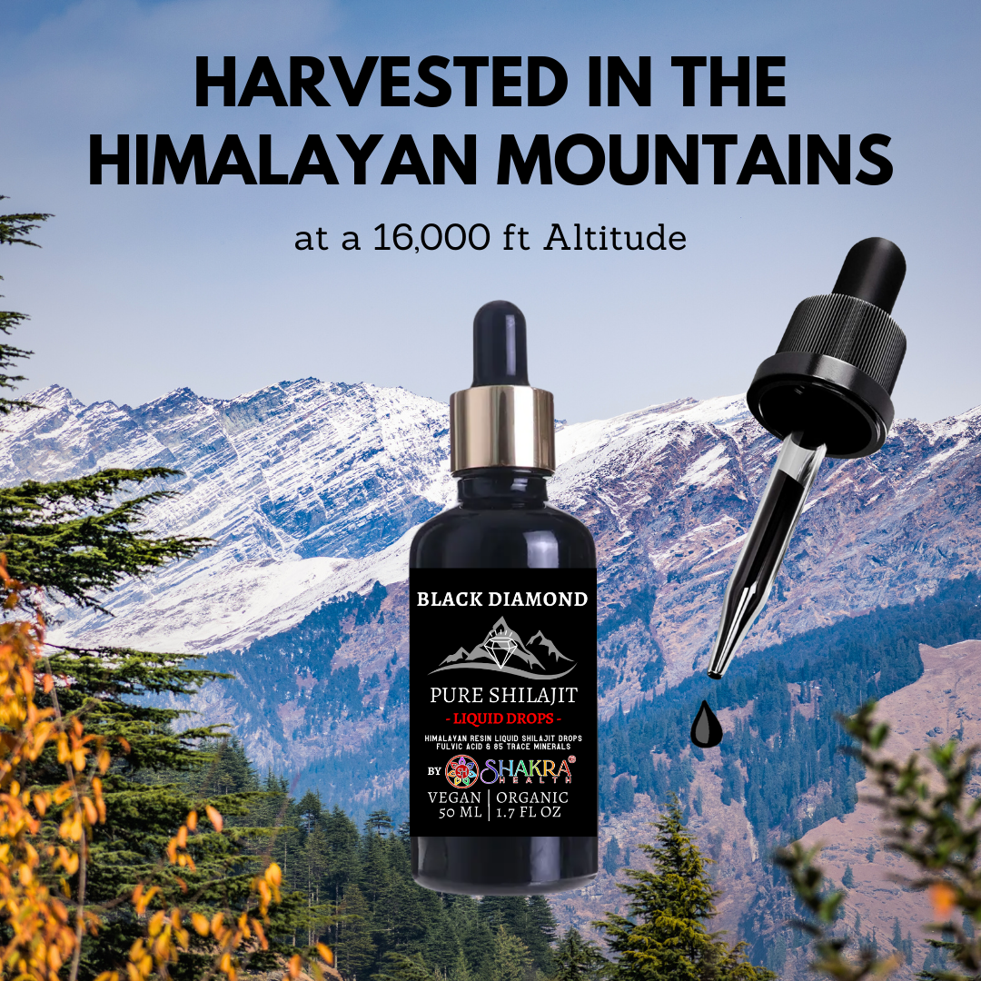 Buy Pure Himalayan Shilajit Natural Trace Minerals & Fulvic Acid Complex at SacredRemedy.co.uk. Looking for quality Supplement? We stock Shakra Health: Liquid Himalayan Shilajit is a potent and very safe dietary supplement, restoring the energetic balance and potentially able to prevent several diseases. The wide range of minerals and compounds found in shilajit may also help fight off viruses.