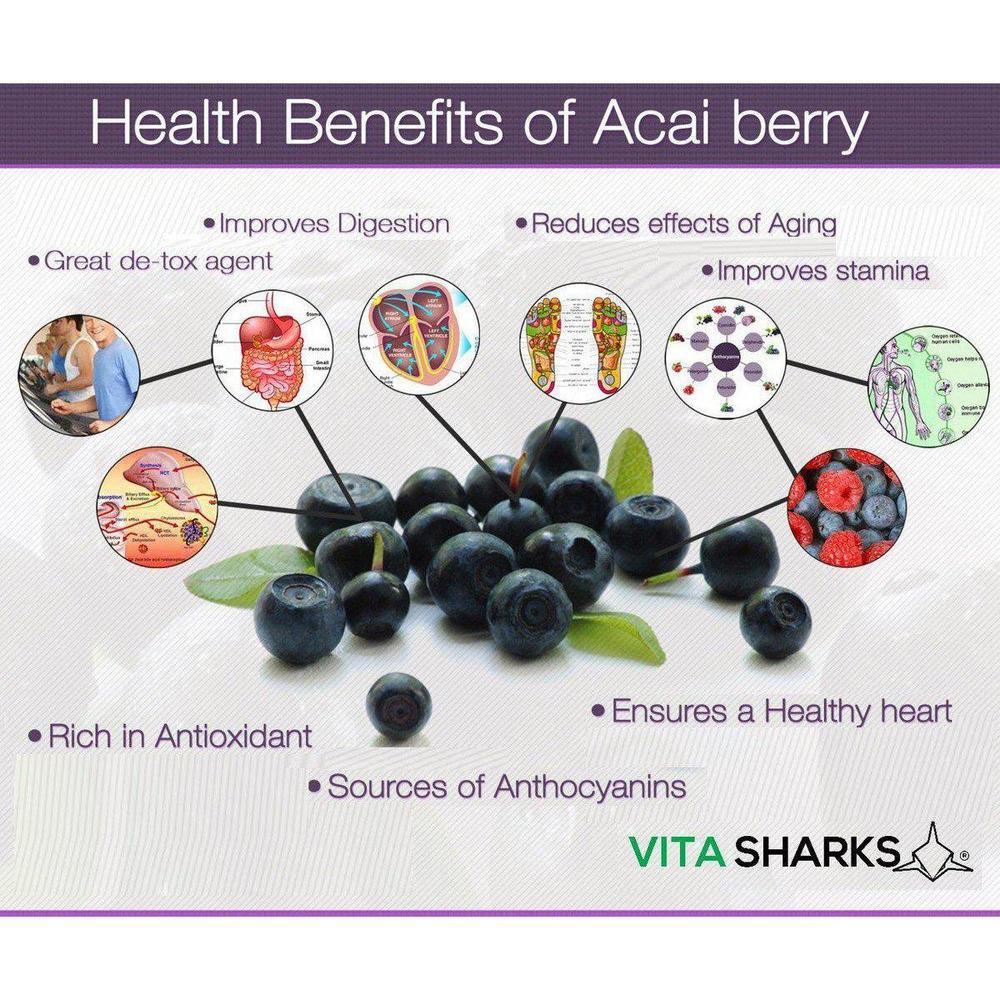Buy VitaDefence+ Acai Berry | Potent Immune Health Vitamin - Rich in Vitamins, Minerals, Phyto-Nutrients & Polyphenols; all-round support for energy, immunity, health and vitality. Protection against free radical damage, support for Bones, Skin, hair and nails. Beneficial for; Weight loss Inflammation, Blood sugar levels, Cholesterol levels & Protection against premature ageing. at Sacred Remedy Online